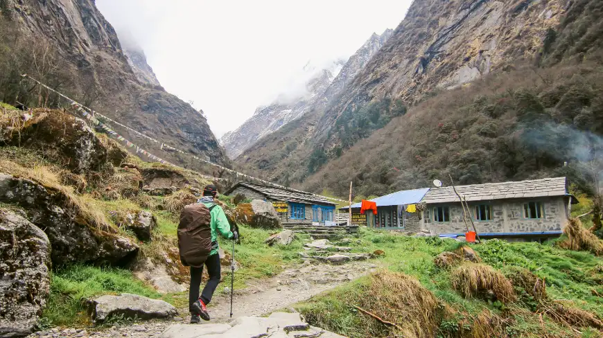 Himachal pradesh tour packages